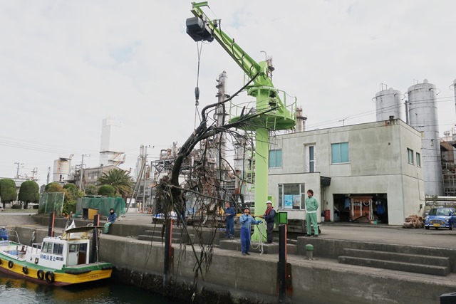 クレーンで吊り上げる流木